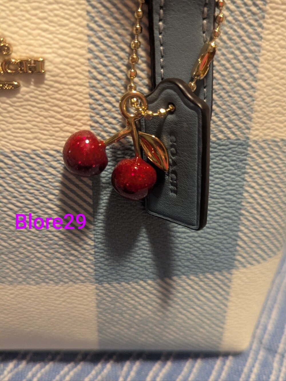 Mini City Tote Ghingam Coach